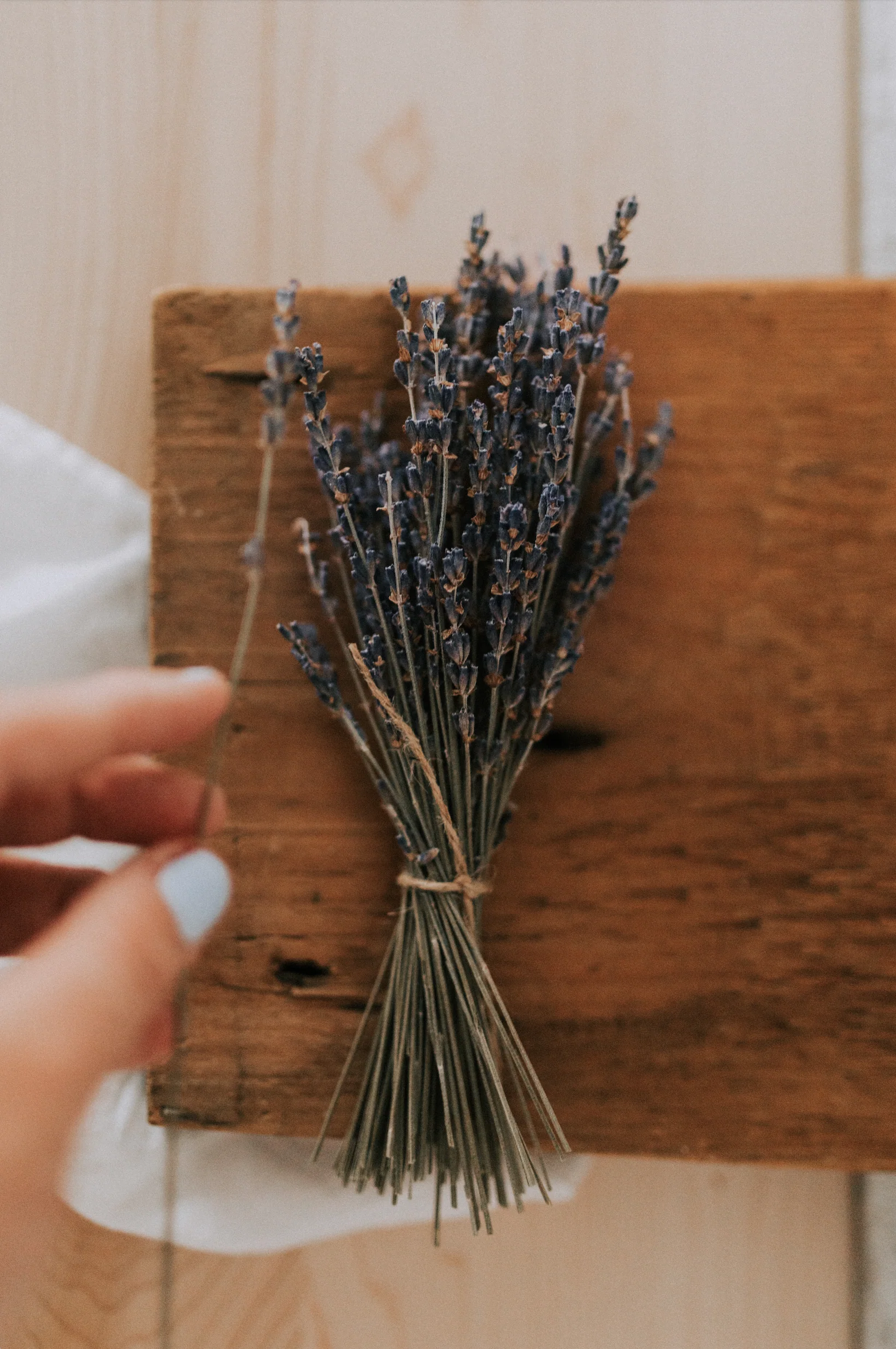 Bouquet de lavande séchée - Image 3